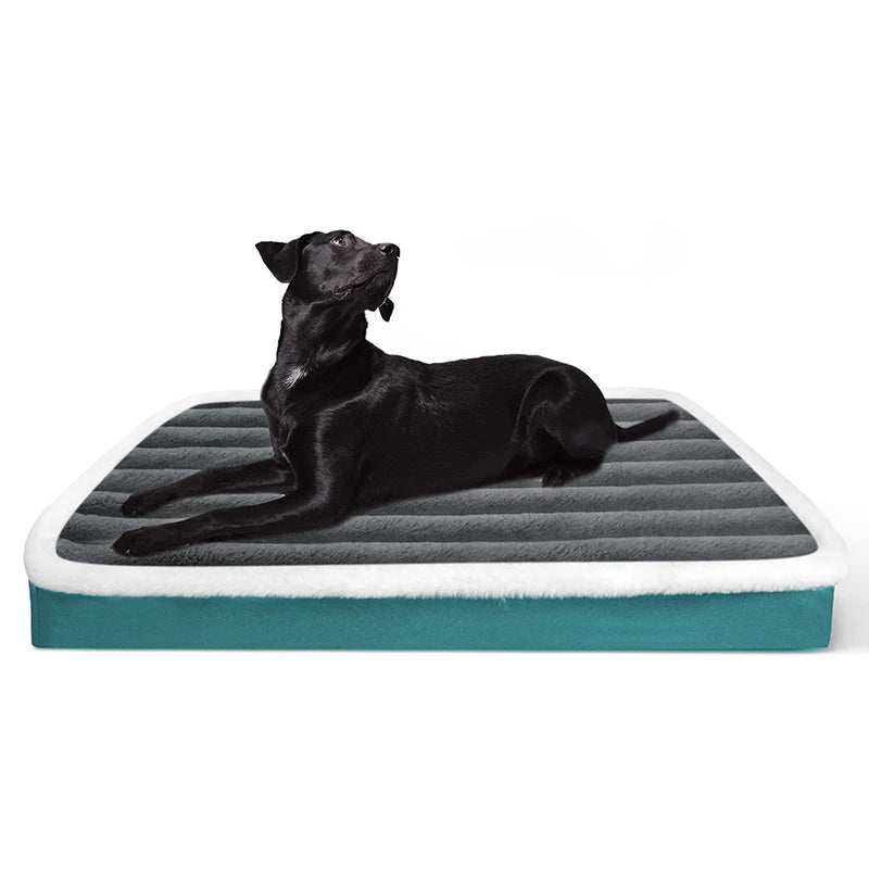 Benepaw Kuscheltraum – Orthopädisches Hundebett mit Eierschaum, Waschbar & Rutschfest