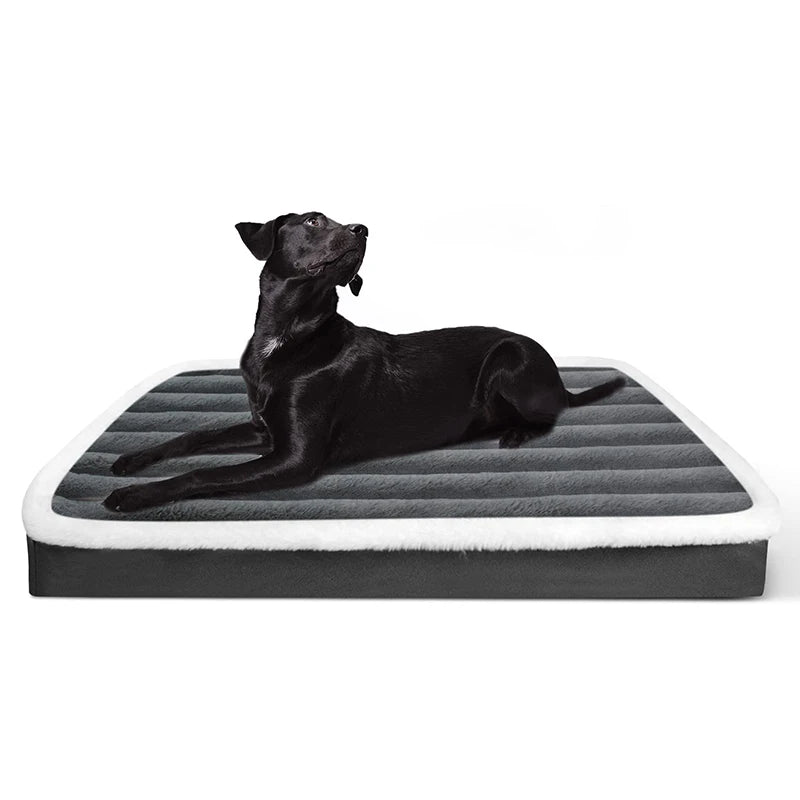 Benepaw Kuscheltraum – Orthopädisches Hundebett mit Eierschaum, Waschbar & Rutschfest