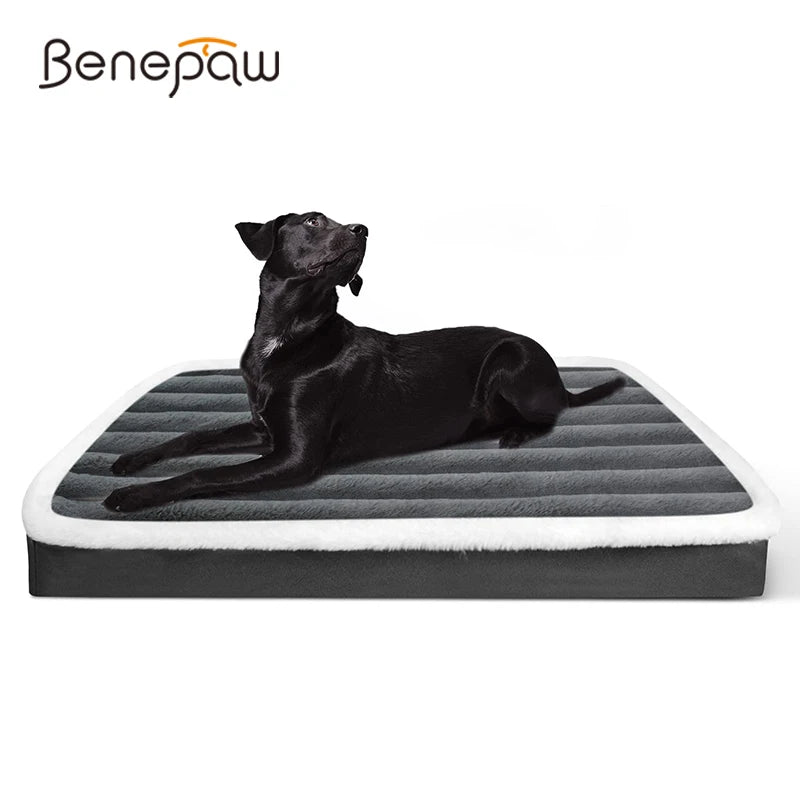 Benepaw Kuscheltraum – Orthopädisches Hundebett mit Eierschaum, Waschbar & Rutschfest