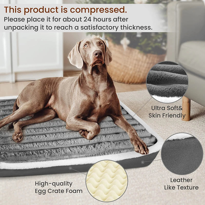 Benepaw Kuscheltraum – Orthopädisches Hundebett mit Eierschaum, Waschbar & Rutschfest